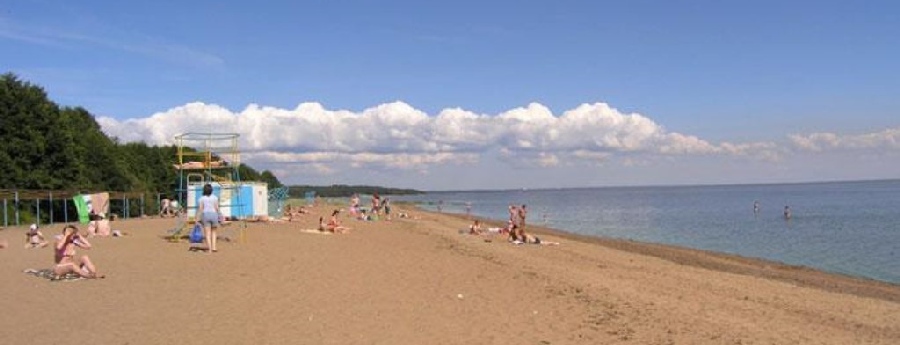 Электрик в Лисьем Носу